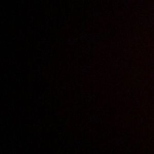 Meet your Posher, Kylee